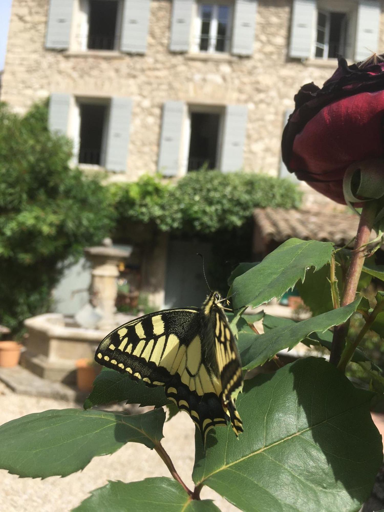 La Figuiere Fontaine De Vaucluse Bed & Breakfast Exterior photo